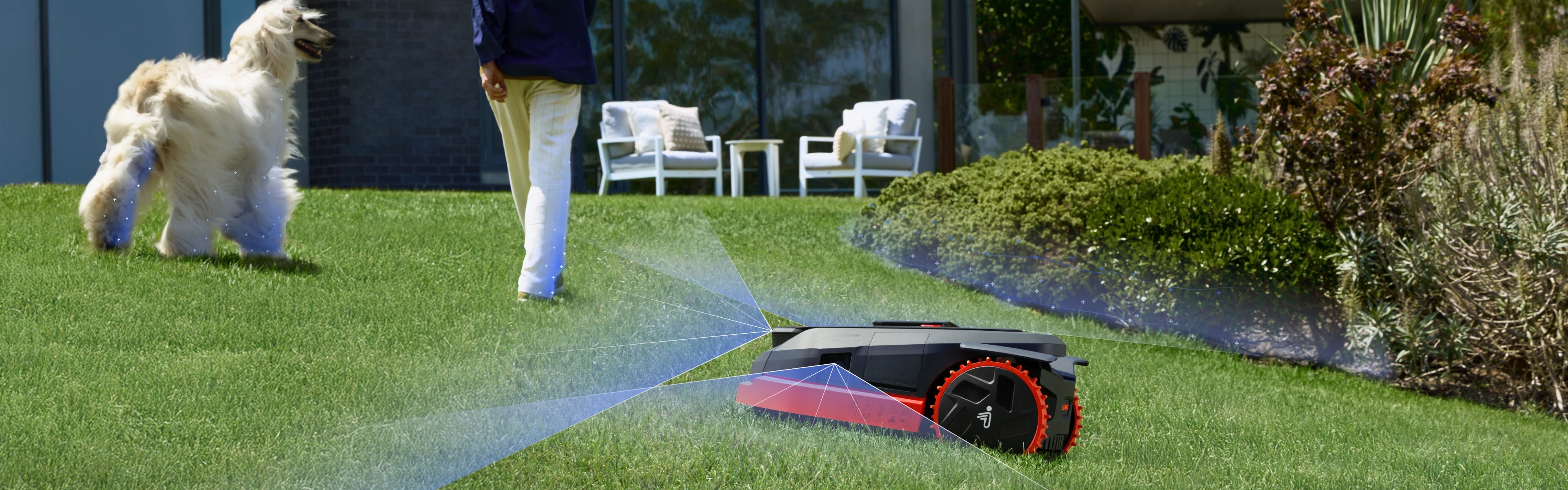 Navimow i105E robot lawn mower mows grass near a dog.