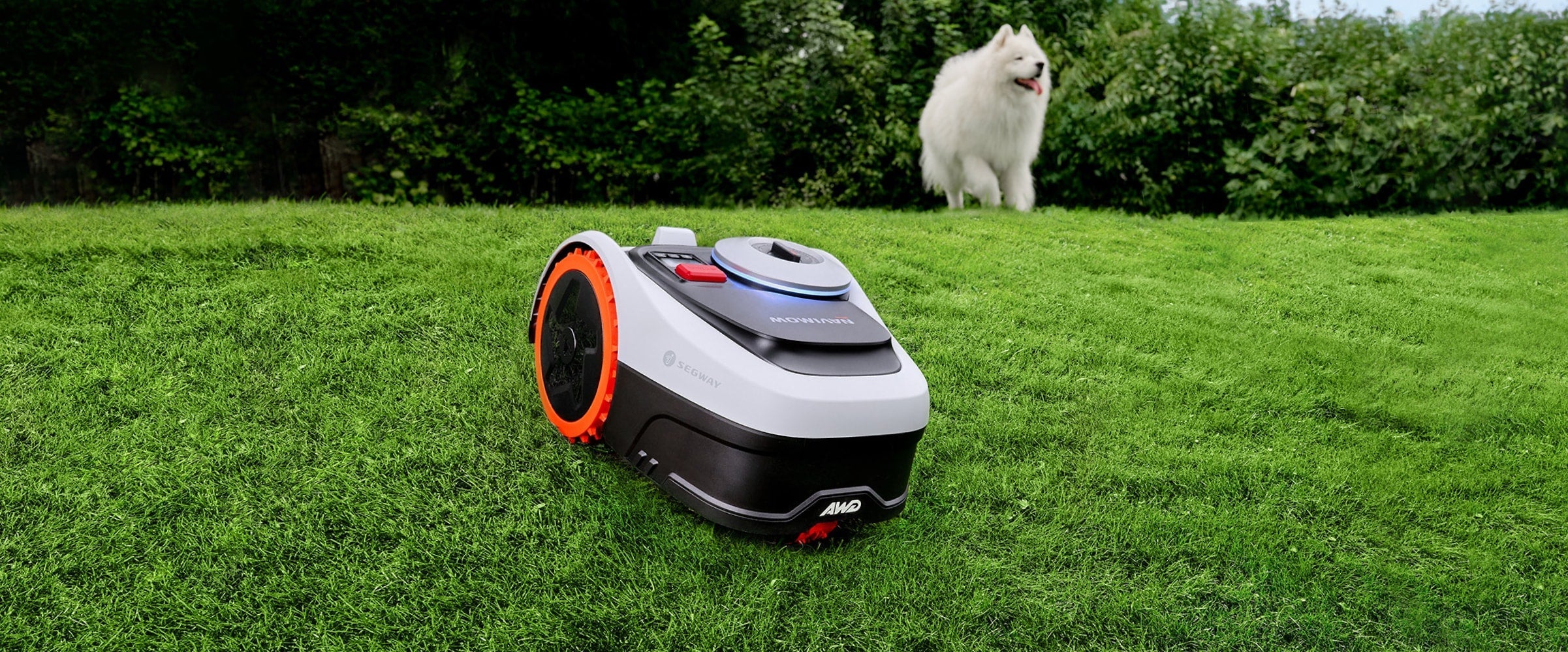 Segway Navimow AWD robot lawn mower with a white dog.