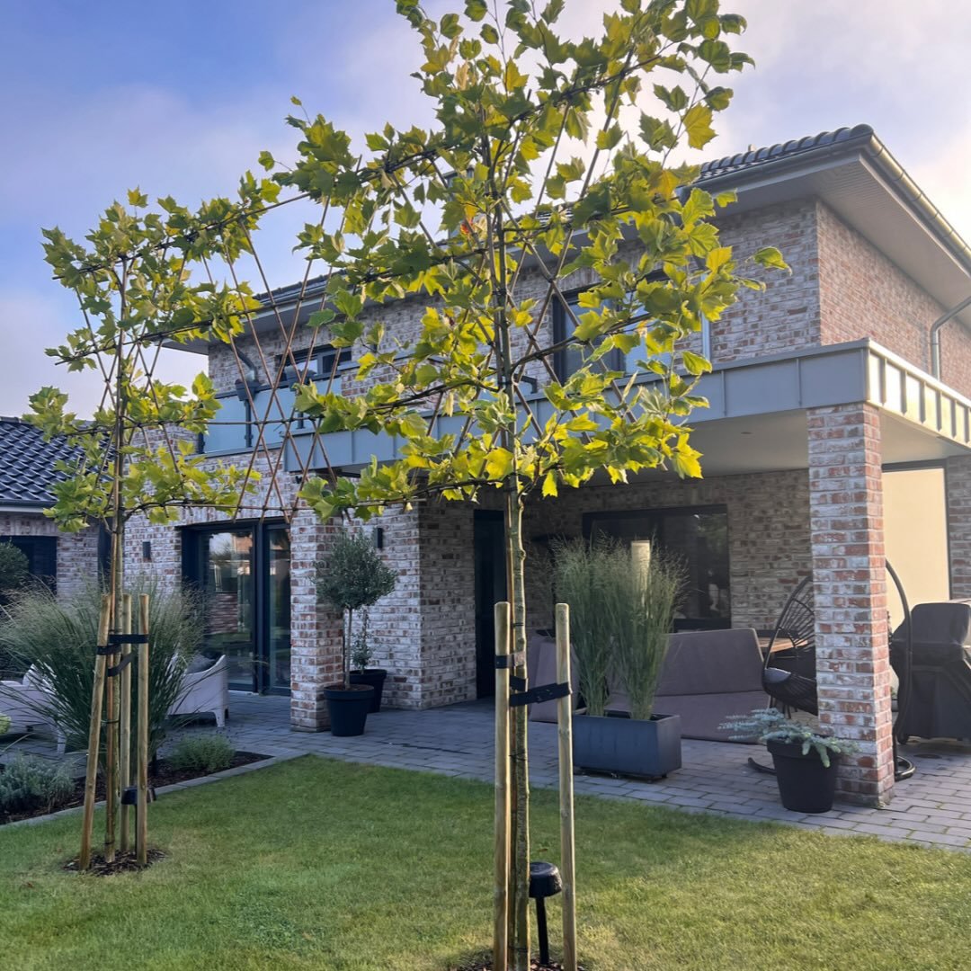 Navimow i105E robot lawn mower in a sunny backyard garden.