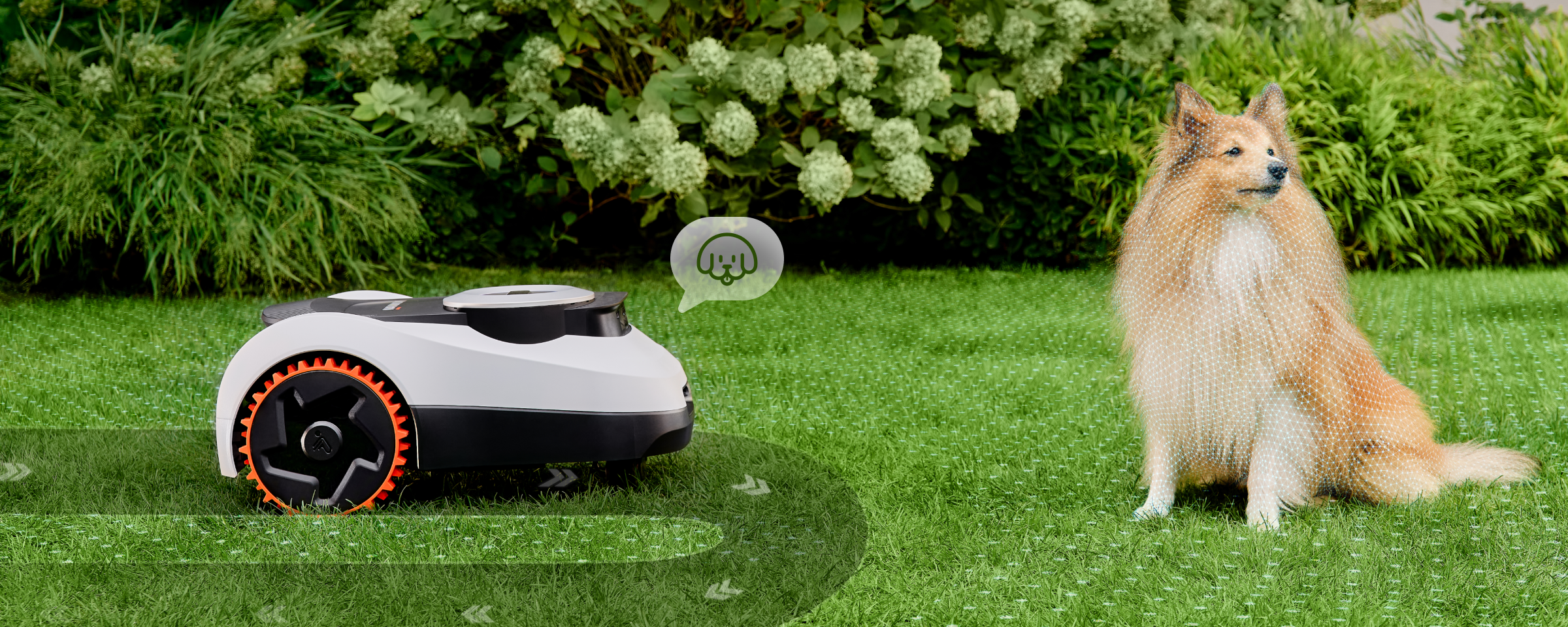 Navimow i110N robot lawn mower detects a dog on grass.