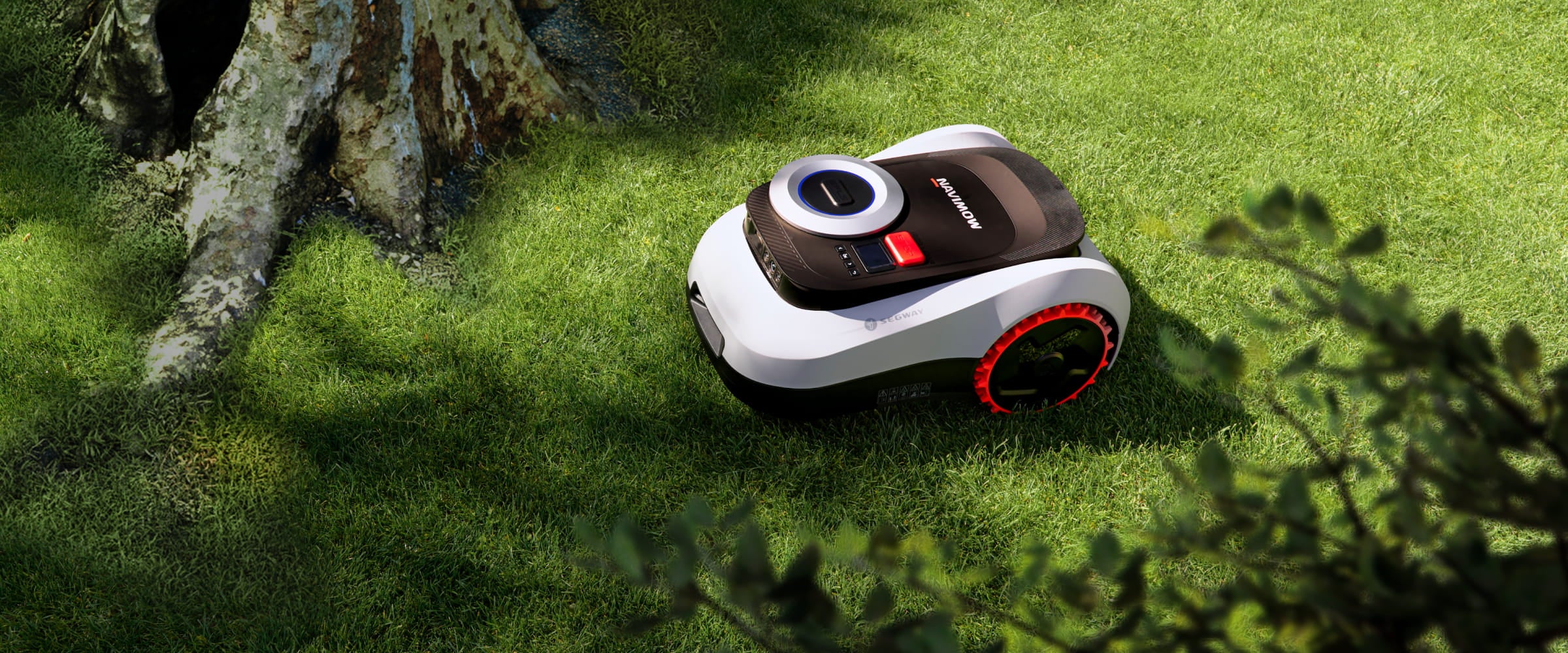 Segway Navimow i Series robot lawn mower on green grass.