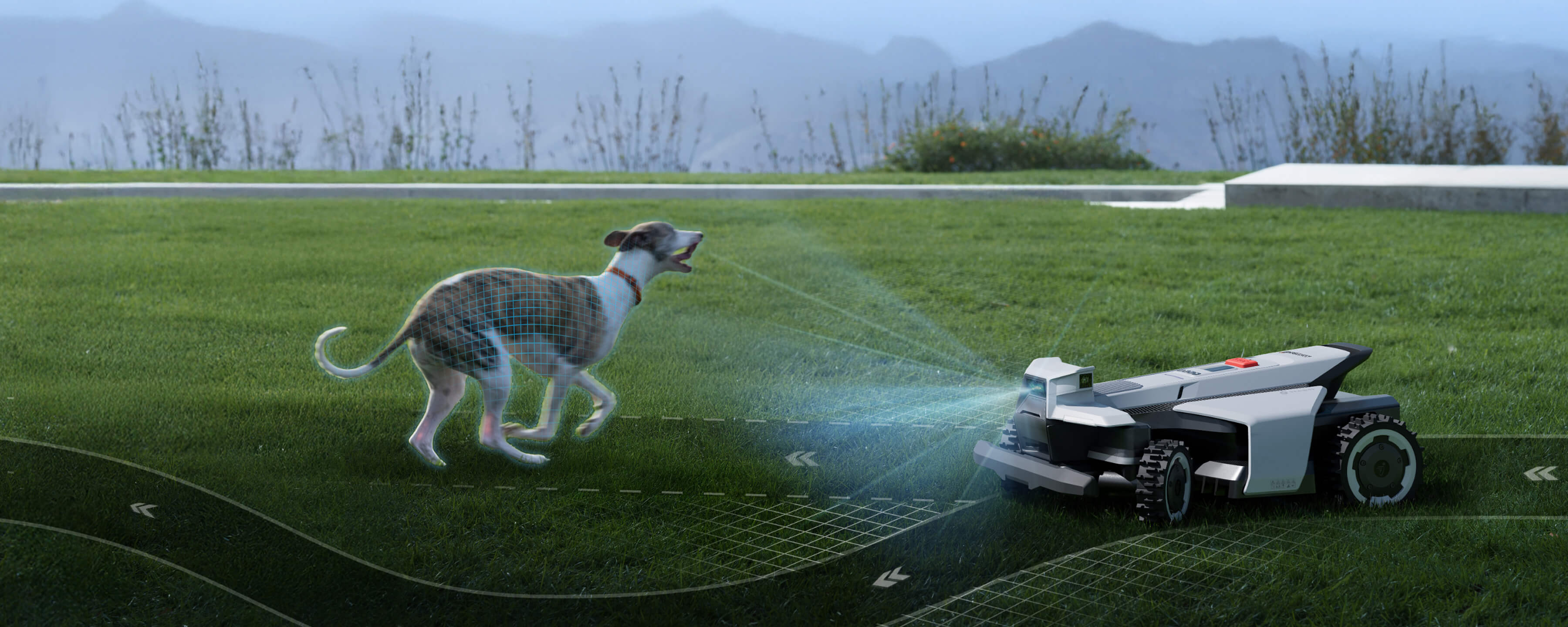 Navimow i110N robot lawn mower detects a dog on grass.